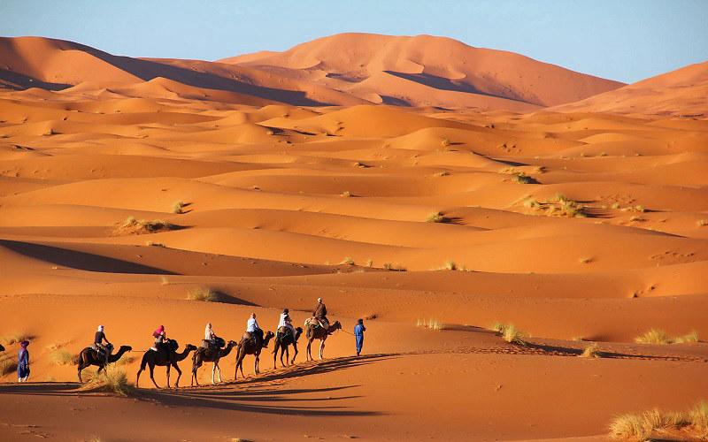 sahara tours