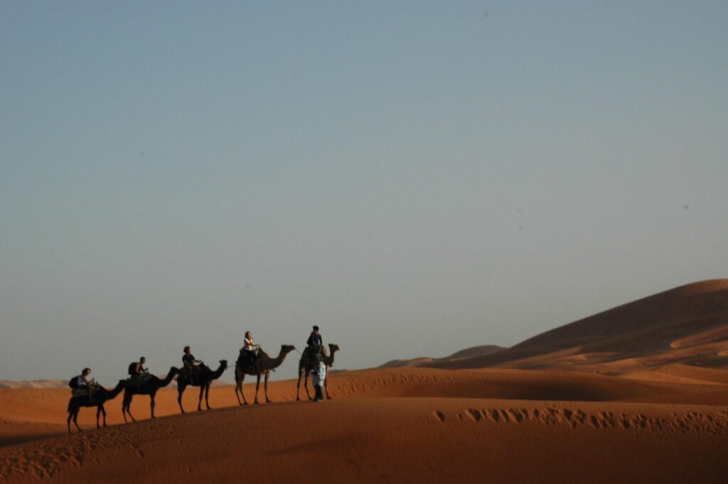 Fes tours