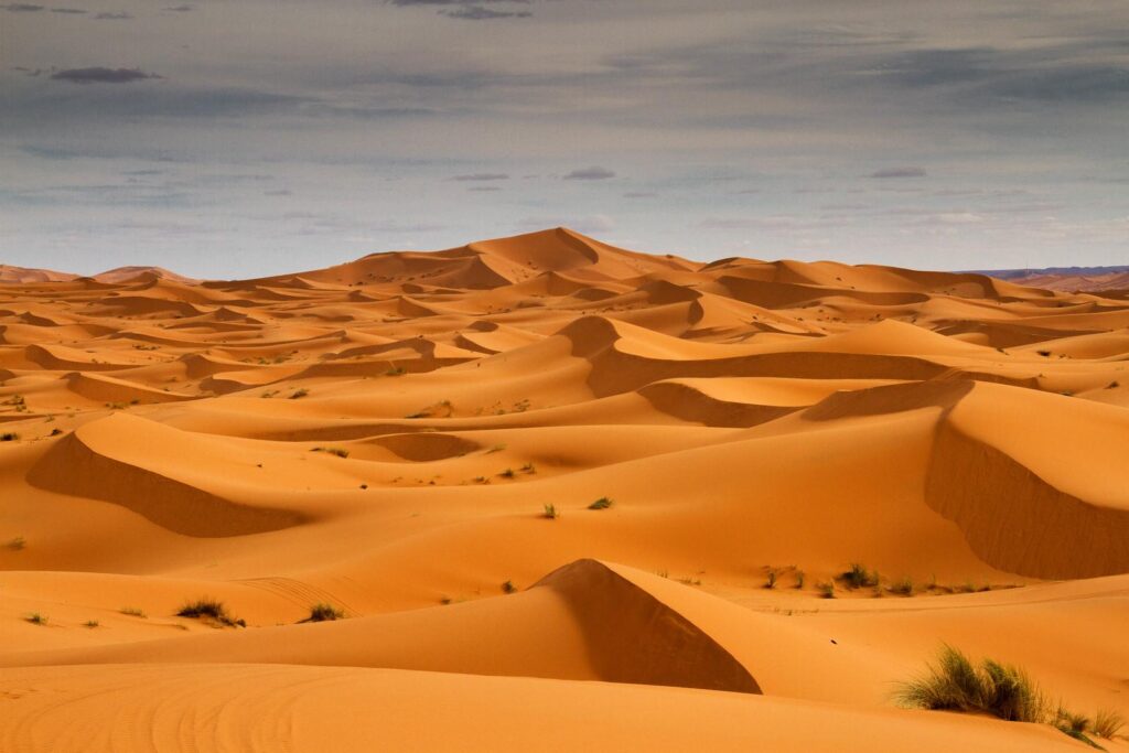 Marrakech Tours, tours in tangier morocco, 6 days morocco tour from casablanca